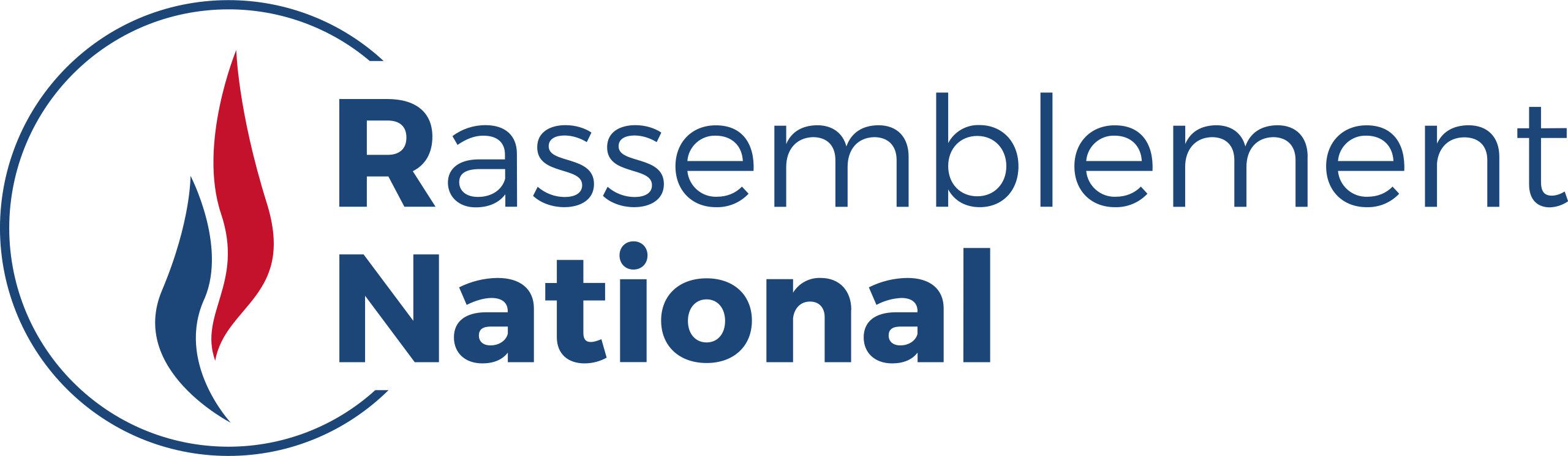 Rassemblement National